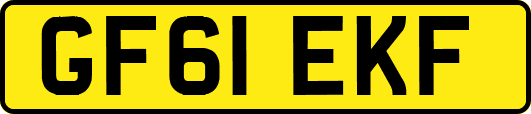 GF61EKF