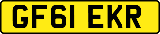 GF61EKR