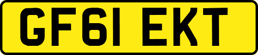 GF61EKT