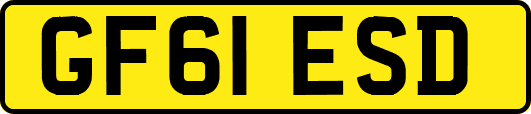 GF61ESD