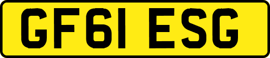 GF61ESG
