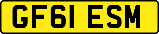 GF61ESM