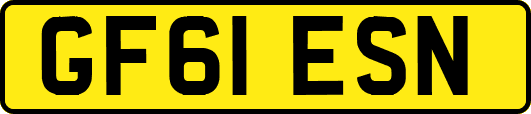 GF61ESN