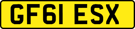 GF61ESX