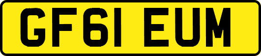 GF61EUM