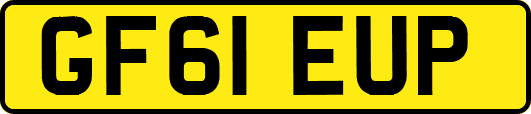 GF61EUP