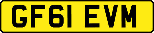 GF61EVM