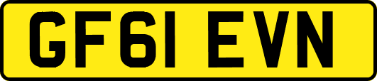 GF61EVN