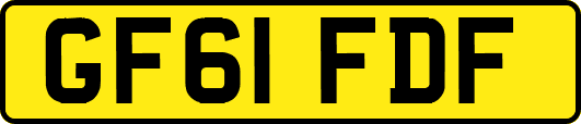 GF61FDF