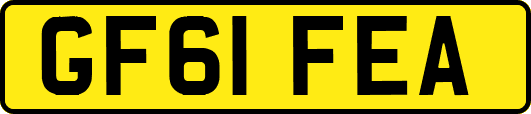 GF61FEA