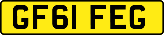 GF61FEG