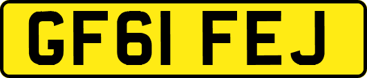 GF61FEJ