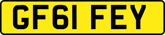 GF61FEY