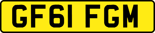 GF61FGM