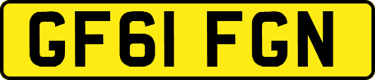 GF61FGN
