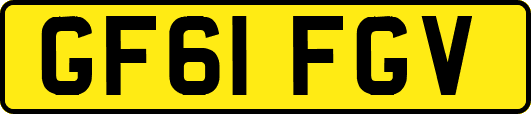 GF61FGV