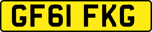 GF61FKG