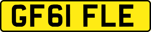GF61FLE