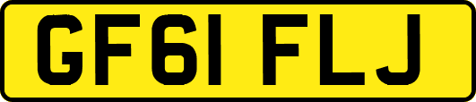GF61FLJ