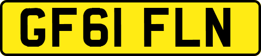GF61FLN