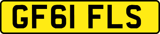 GF61FLS