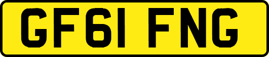 GF61FNG