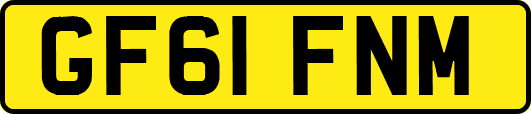 GF61FNM