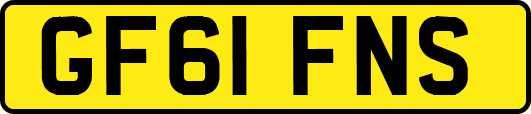 GF61FNS