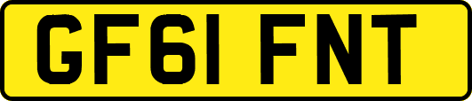 GF61FNT