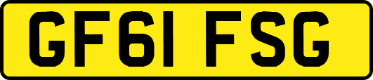 GF61FSG