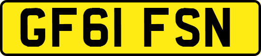 GF61FSN