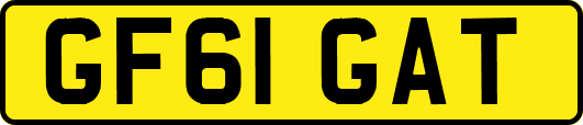 GF61GAT