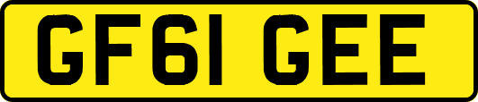 GF61GEE