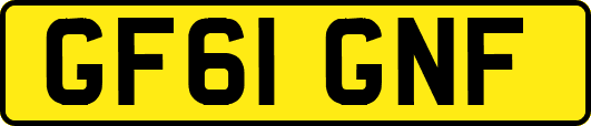 GF61GNF