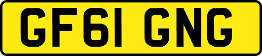 GF61GNG