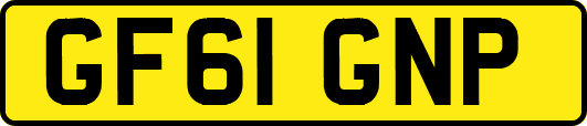 GF61GNP