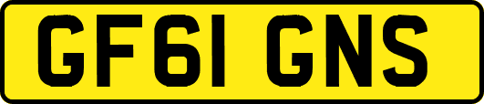 GF61GNS