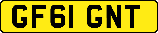 GF61GNT