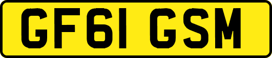 GF61GSM