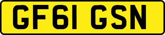 GF61GSN