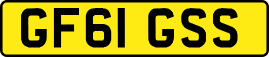 GF61GSS