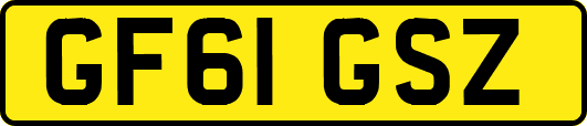 GF61GSZ