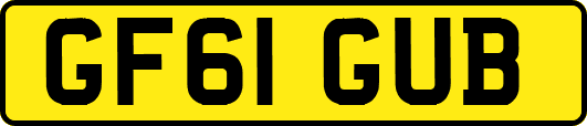 GF61GUB