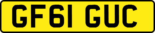 GF61GUC