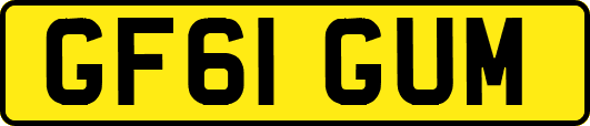 GF61GUM
