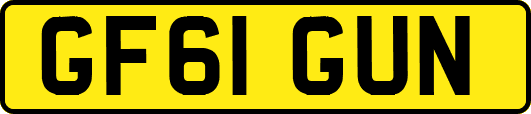 GF61GUN