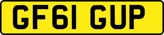 GF61GUP