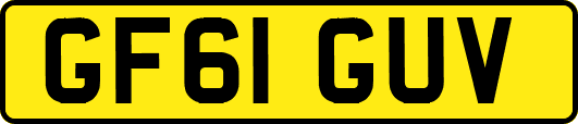 GF61GUV