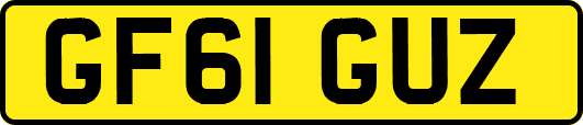 GF61GUZ