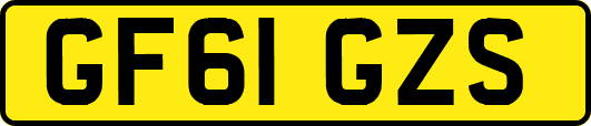 GF61GZS